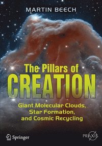 bokomslag The Pillars of Creation