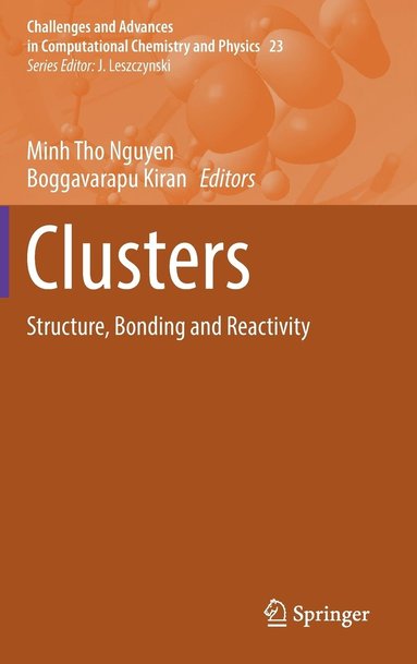 bokomslag Clusters