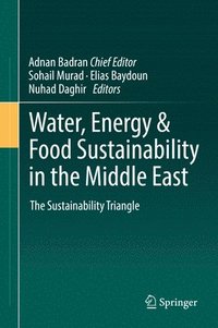 bokomslag Water, Energy & Food Sustainability in the Middle East
