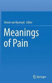 bokomslag Meanings of Pain