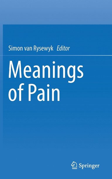 bokomslag Meanings of Pain