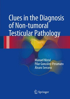 Manuel Nistal, Pilar González-Peramato, Álvaro Serrano - Clues in the Diagnosis of Non-tumoral Testicular Pathology, Inbunden