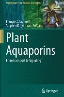 bokomslag Plant Aquaporins