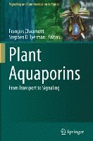 Plant Aquaporins 1