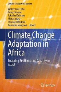 bokomslag Climate Change Adaptation in Africa