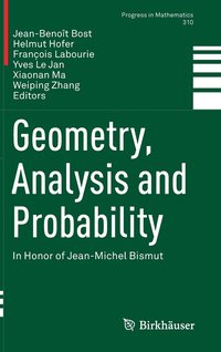 bokomslag Geometry, Analysis and Probability