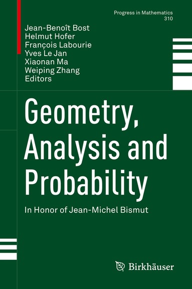 Jean-Benoît Bost, Helmut Hofer, François Labourie, Yves Le Jan, Xiaonan Ma, Weiping Zhang - Geometry, Analysis and Probability, Inbunden