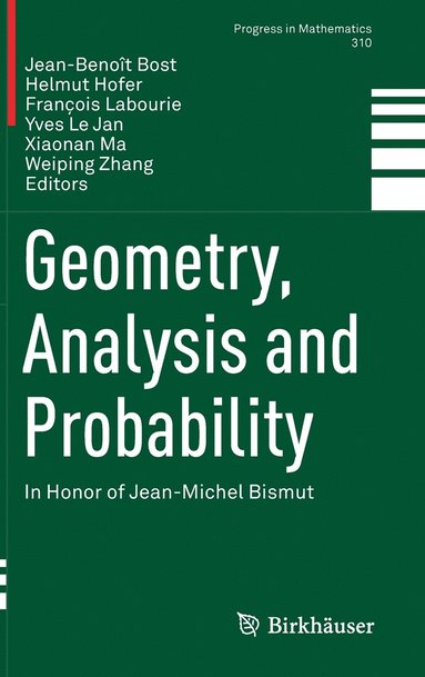 bokomslag Geometry, Analysis and Probability