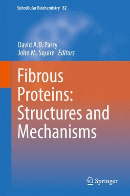 bokomslag Fibrous Proteins: Structures and Mechanisms