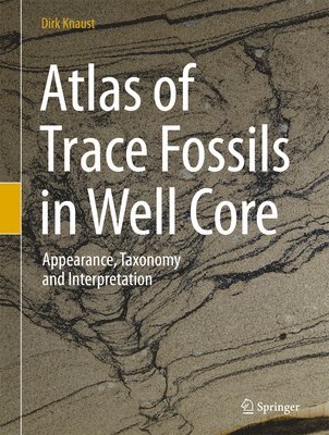 Dirk Knaust - Atlas of Trace Fossils in Well Core, Inbunden