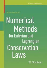 bokomslag Numerical Methods for Eulerian and Lagrangian Conservation Laws