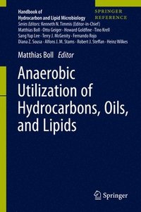 bokomslag Anaerobic Utilization of Hydrocarbons, Oils, and Lipids