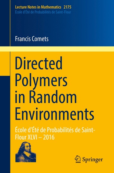 bokomslag Directed Polymers in Random Environments