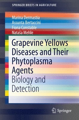 Grapevine Yellows Diseases and Their Phytoplasma Agents 1