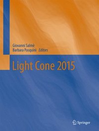 bokomslag Light Cone 2015