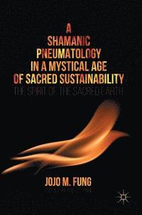 bokomslag A Shamanic Pneumatology in a Mystical Age of Sacred Sustainability