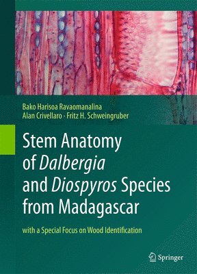 bokomslag Stem Anatomy of Dalbergia and Diospyros Species from Madagascar