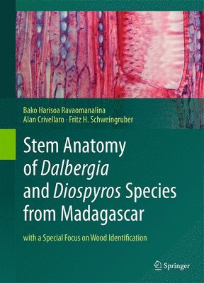 bokomslag Stem Anatomy of Dalbergia and Diospyros Species from Madagascar