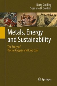 bokomslag Metals, Energy and Sustainability