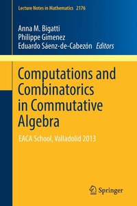 bokomslag Computations and Combinatorics in Commutative Algebra