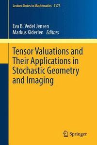 bokomslag Tensor Valuations and Their Applications in Stochastic Geometry and Imaging