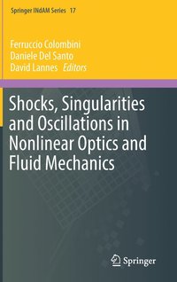 bokomslag Shocks, Singularities and Oscillations in Nonlinear Optics and Fluid Mechanics