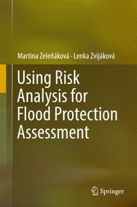 bokomslag Using Risk Analysis for Flood Protection Assessment