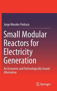 bokomslag Small Modular Reactors for Electricity Generation