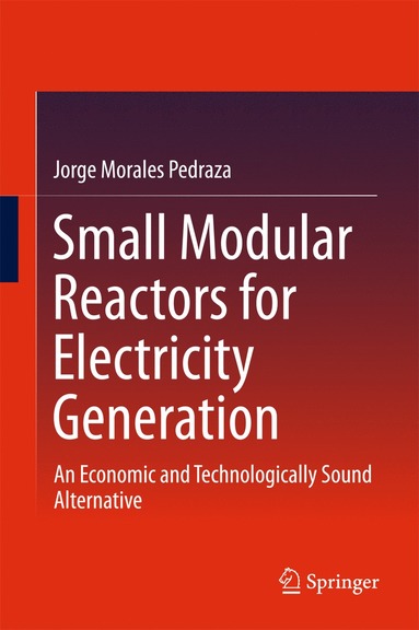 bokomslag Small Modular Reactors for Electricity Generation