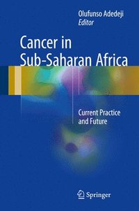 bokomslag Cancer in Sub-Saharan Africa
