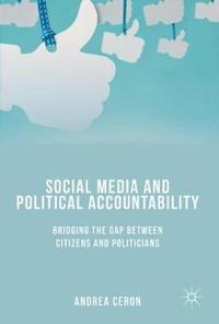 bokomslag Social Media and Political Accountability