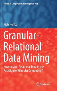 bokomslag Granular-Relational Data Mining