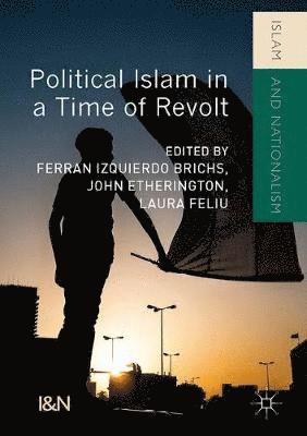 bokomslag Political Islam in a Time of Revolt
