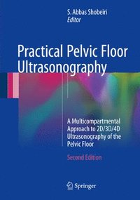 bokomslag Practical Pelvic Floor Ultrasonography