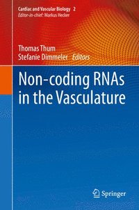 bokomslag Non-coding RNAs in the Vasculature
