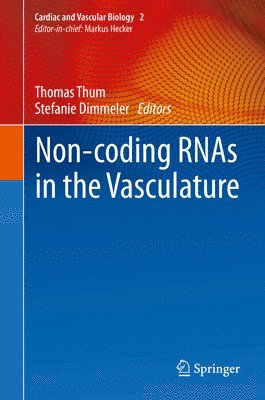 Non-coding RNAs in the Vasculature 1