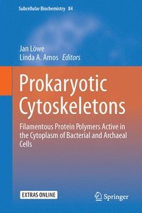 bokomslag Prokaryotic Cytoskeletons