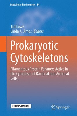 bokomslag Prokaryotic Cytoskeletons