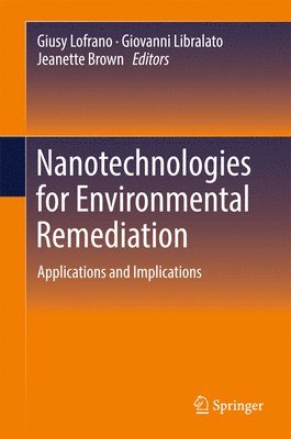 bokomslag Nanotechnologies for Environmental Remediation