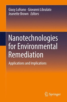 Nanotechnologies for Environmental Remediation 1