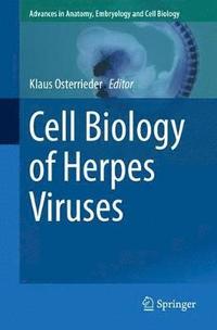 bokomslag Cell Biology of Herpes Viruses