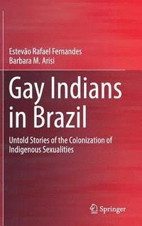 bokomslag Gay Indians in Brazil