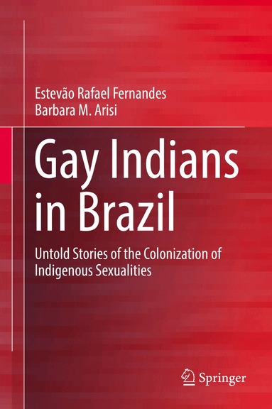 Estevão Rafael Fernandes, Barbara M. Arisi - Gay Indians in Brazil, Inbunden
