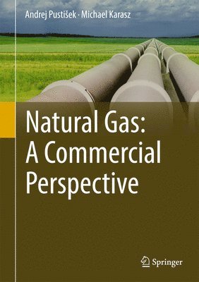 bokomslag Natural Gas: A Commercial Perspective