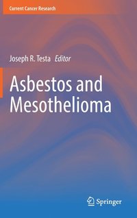 bokomslag Asbestos and Mesothelioma