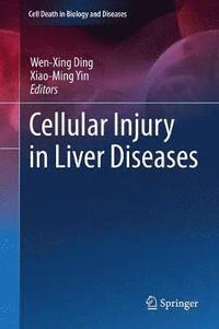 bokomslag Cellular Injury in Liver Diseases