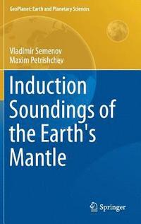 bokomslag Induction Soundings of the Earth's Mantle