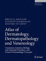 bokomslag Atlas of Dermatology, Dermatopathology and Venereology