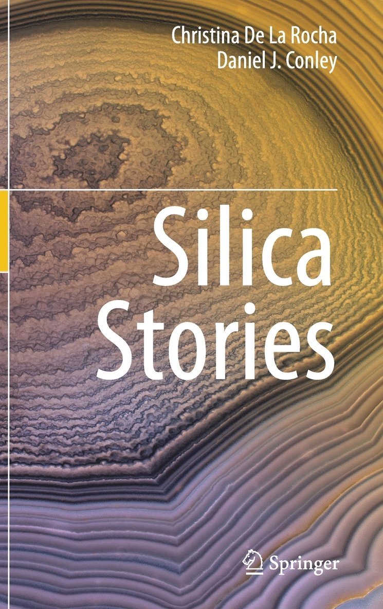 Silica Stories 1