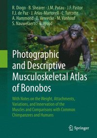 bokomslag Photographic and Descriptive Musculoskeletal Atlas of Bonobos